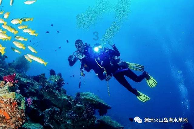 美丽海洋找不同